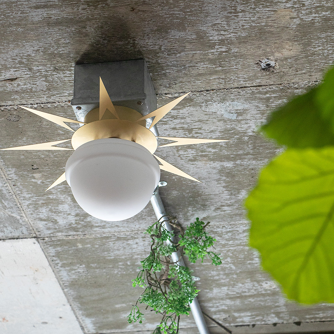 1灯 シーリングライト PHYNX(フィンクス) / シーリングランプ