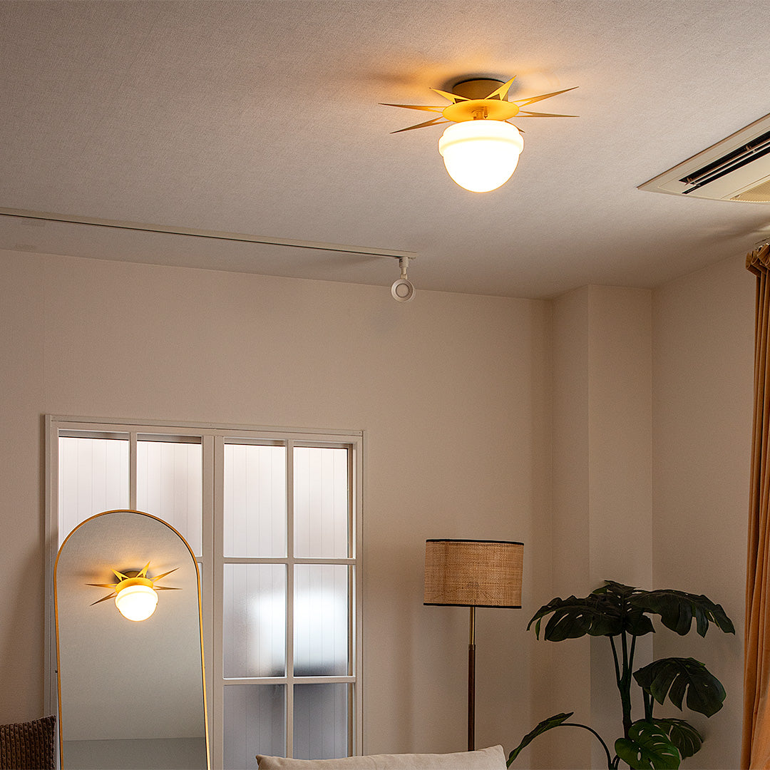 1灯 シーリングライト PHYNX(フィンクス) / シーリングランプ