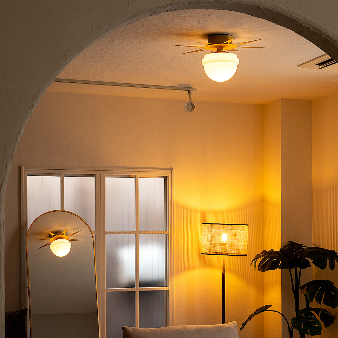 1灯 シーリングライト PHYNX(フィンクス) / シーリングランプ