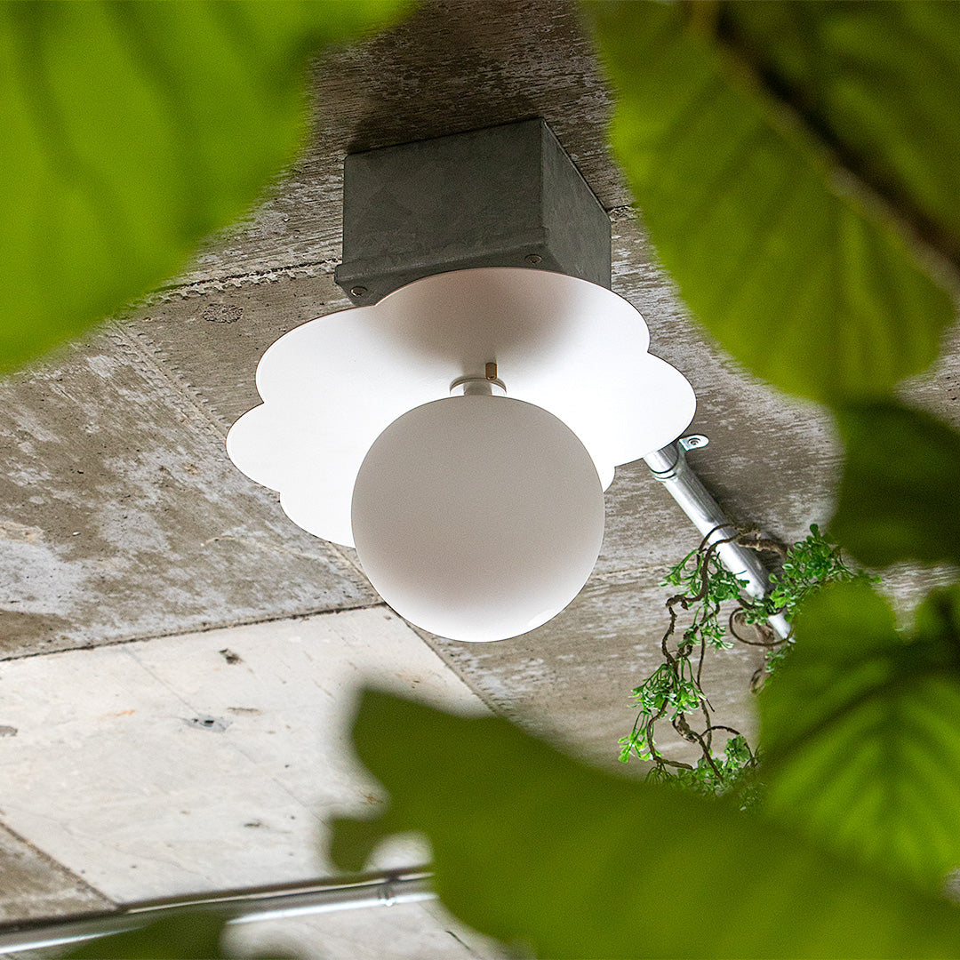 1灯 シーリングライト BURMESE(バーミーズ) / シーリングランプ