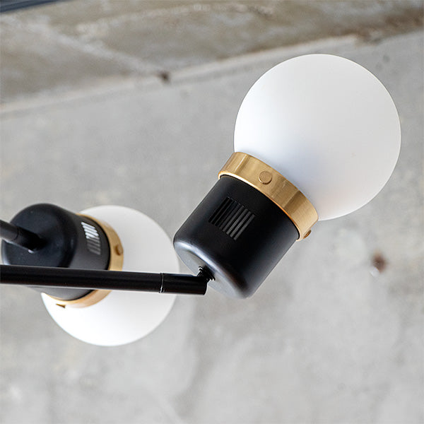 6灯シーリングライト デボン