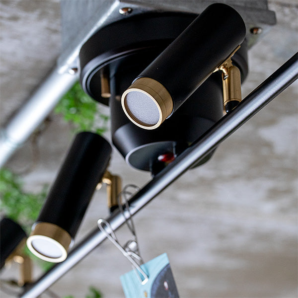 4灯 LEDシーリングライト ノーシュ