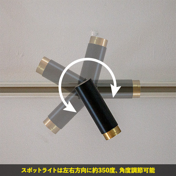 1灯 LEDスポットライト ノーシュ