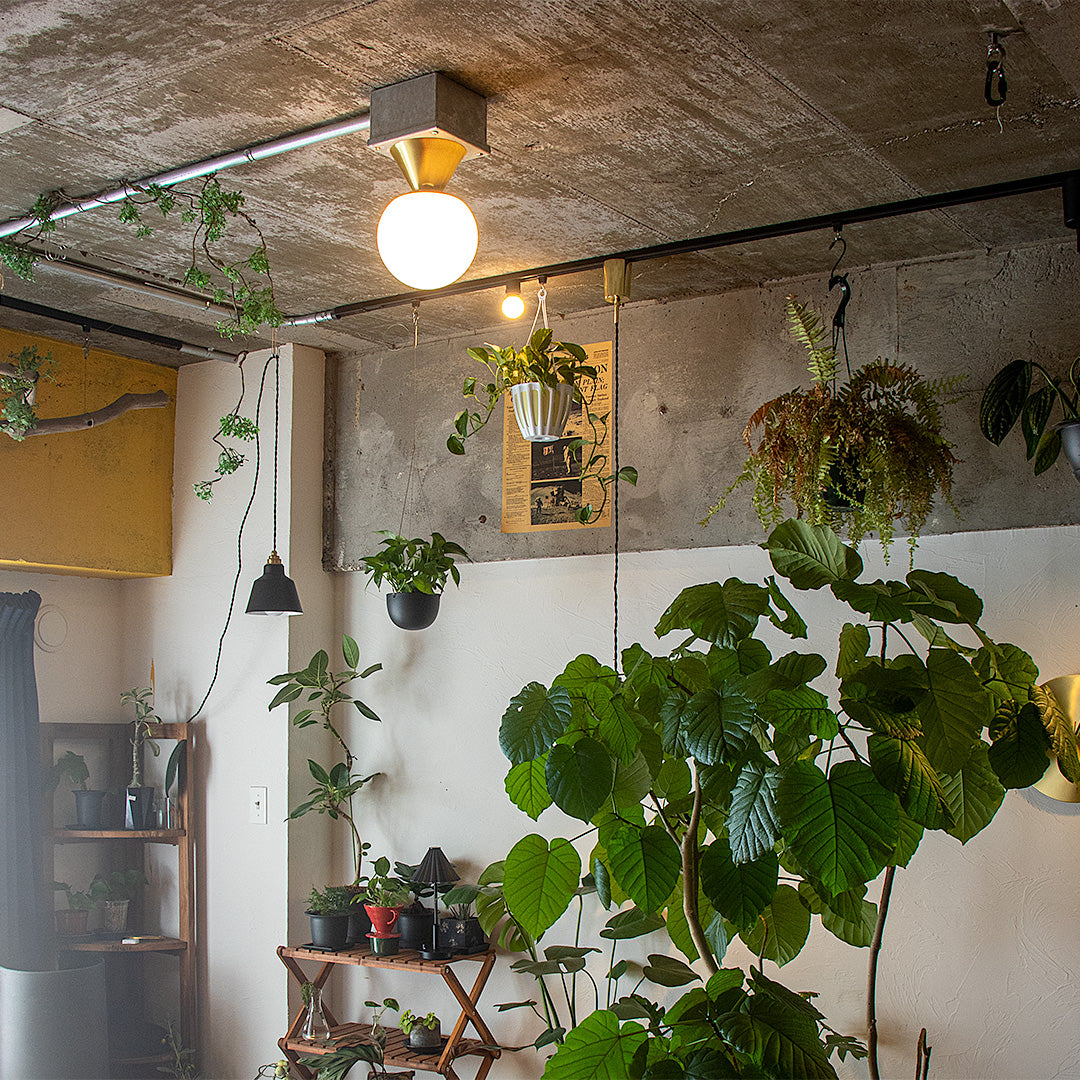 MAU NEBEL マウネベル 1灯シーリングライト