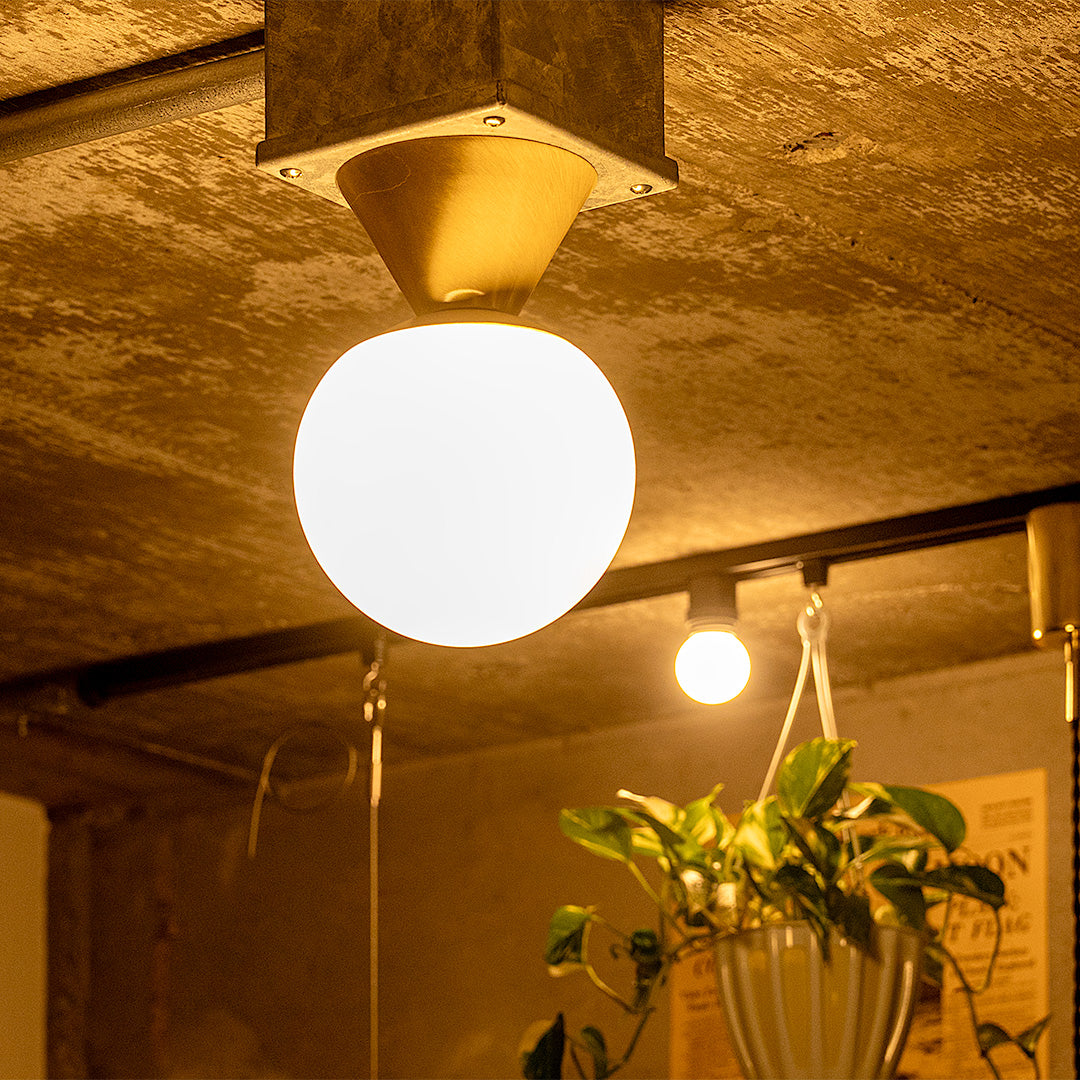 MAU NEBEL マウネベル 1灯シーリングライト