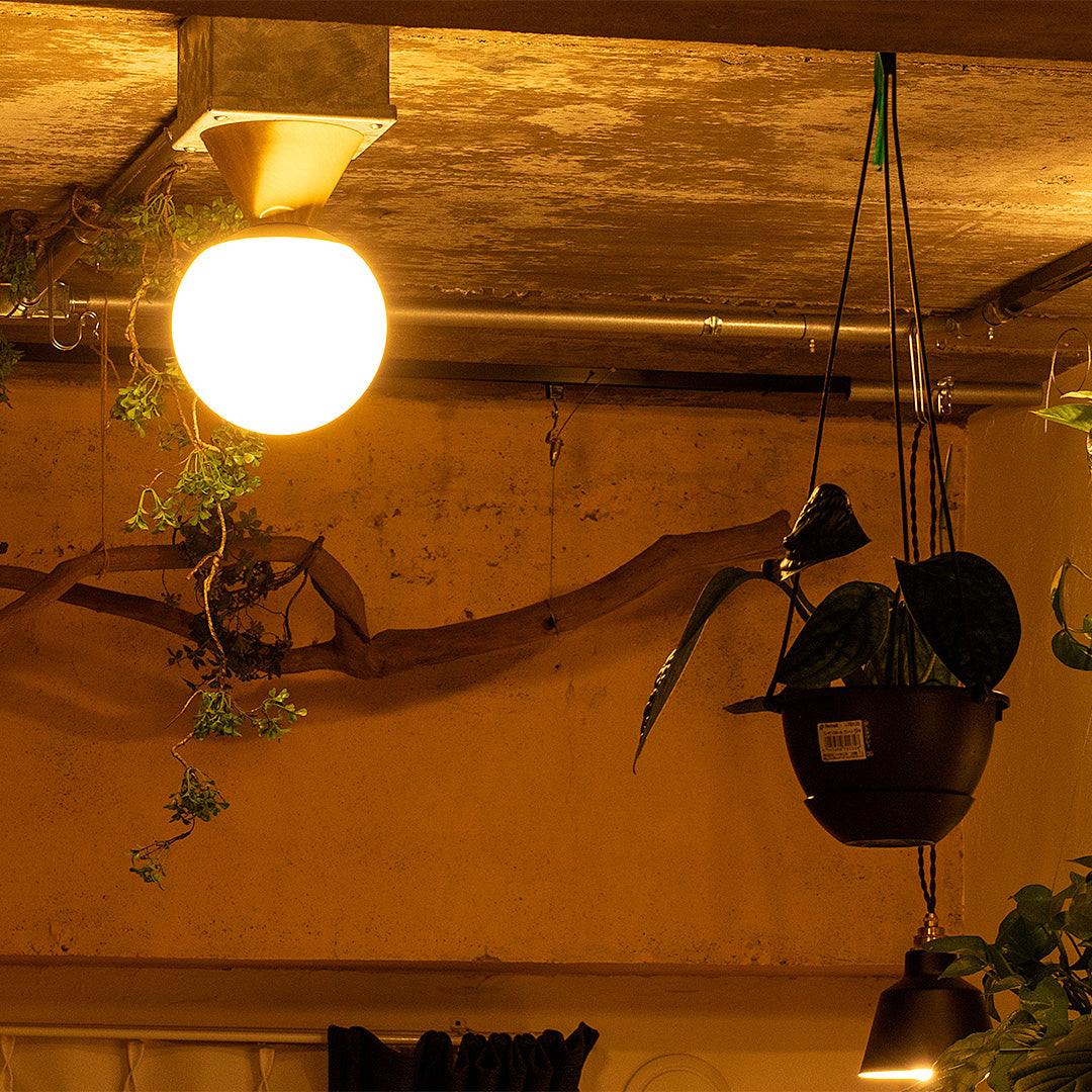 MAU NEBEL マウネベル 1灯シーリングライト