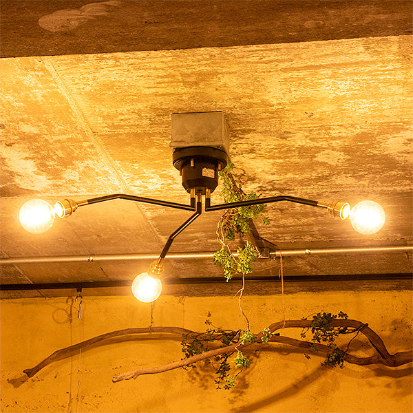 3灯シーリングライト リッパー