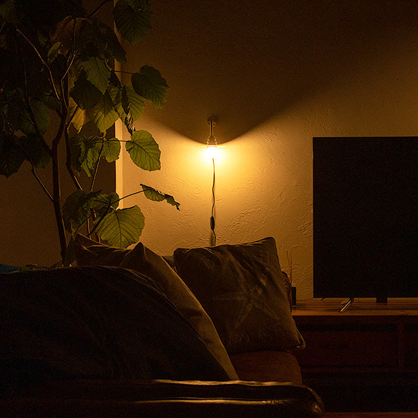 真鍮 ブラケットライト リアンプーラ