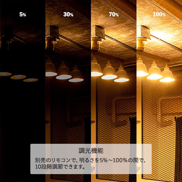 5灯シーリングライト テネシーコラット