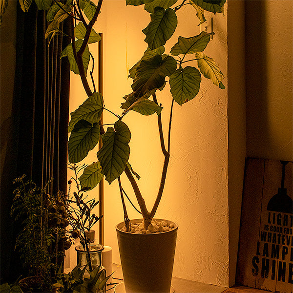 LED バーライト ネオマンクス たて置きベースセット