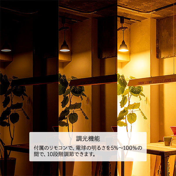 LEDペンダントライト マンクスロンギー