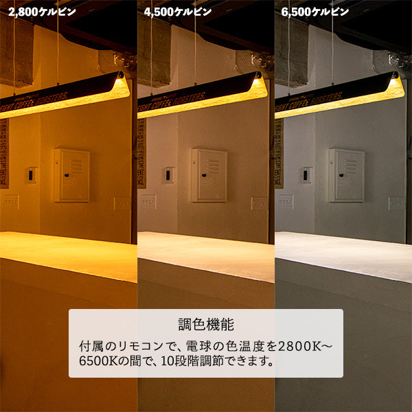 LEDペンダントライト マンクスロンギー