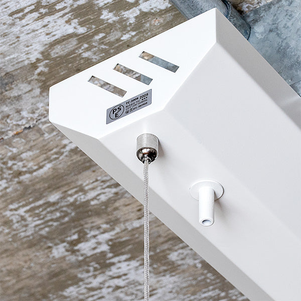 LEDペンダントライト マンクスロンギー