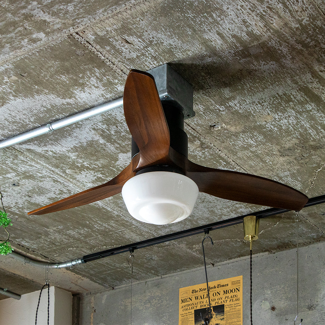 CHAUSIE CEILING FAN LIGHT(チャウシー シーリングファンライト)