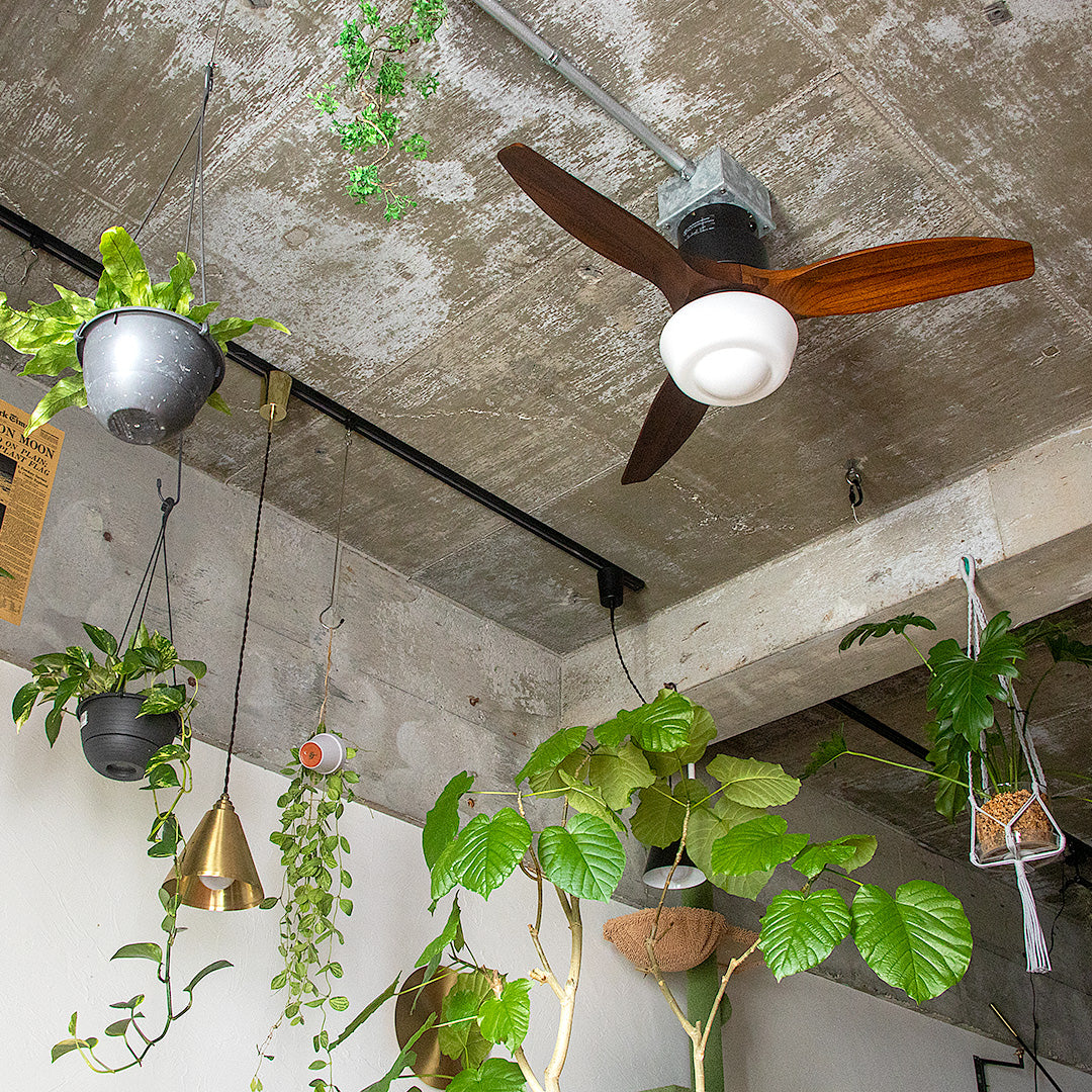 CHAUSIE CEILING FAN LIGHT(チャウシー シーリングファンライト)