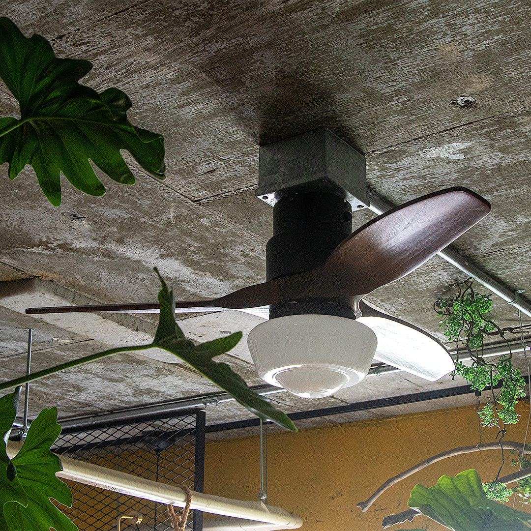 CHAUSIE CEILING FAN LIGHT(チャウシー シーリングファンライト)