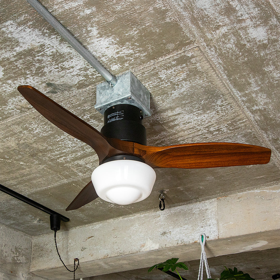 CHAUSIE CEILING FAN LIGHT(チャウシー シーリングファンライト)