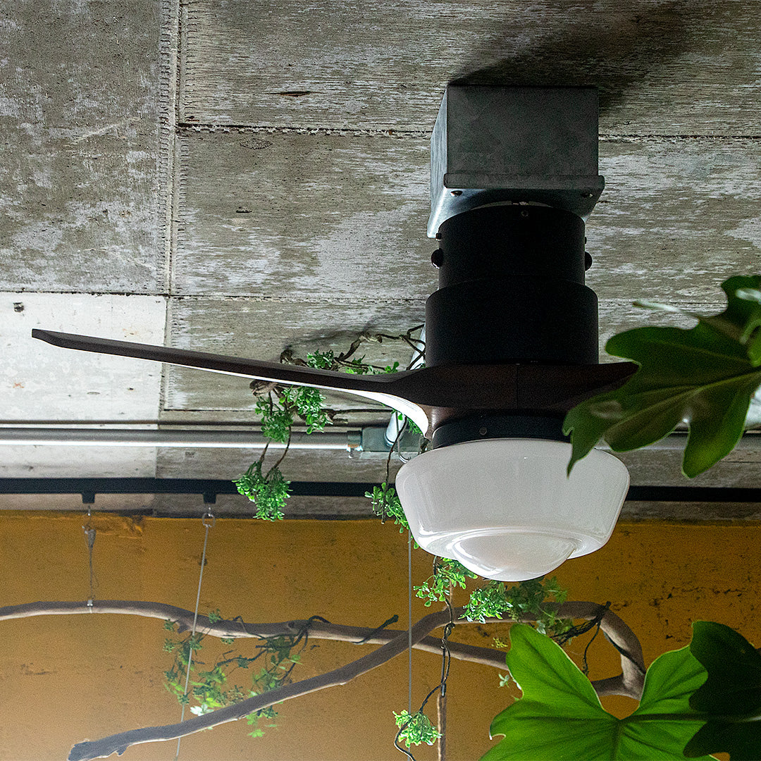 CHAUSIE CEILING FAN LIGHT(チャウシー シーリングファンライト)