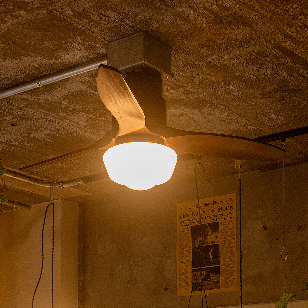 CHAUSIE CEILING FAN LIGHT(チャウシー シーリングファンライト)