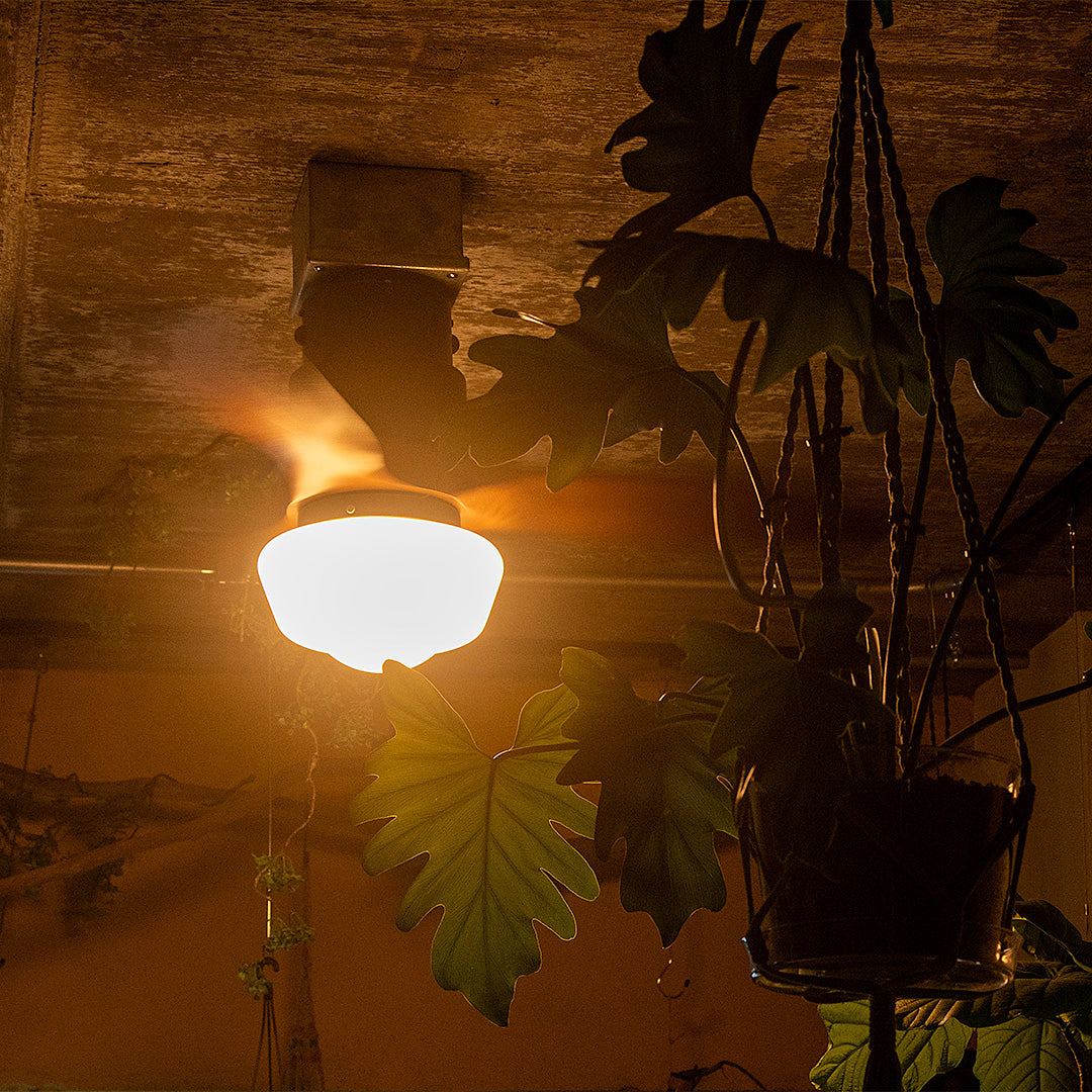 CHAUSIE CEILING FAN LIGHT(チャウシー シーリングファンライト)