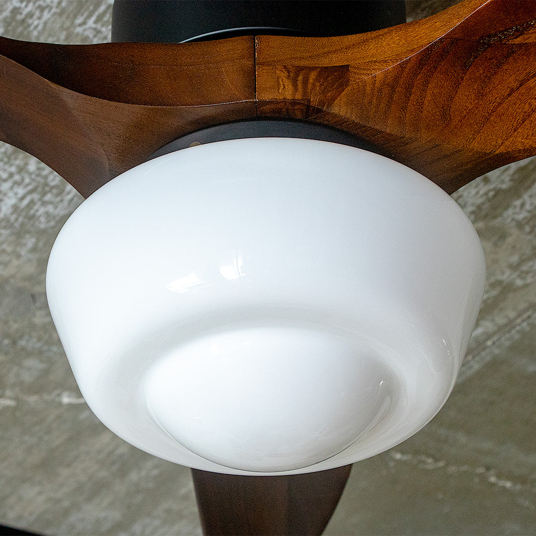 CHAUSIE CEILING FAN LIGHT(チャウシー シーリングファンライト)