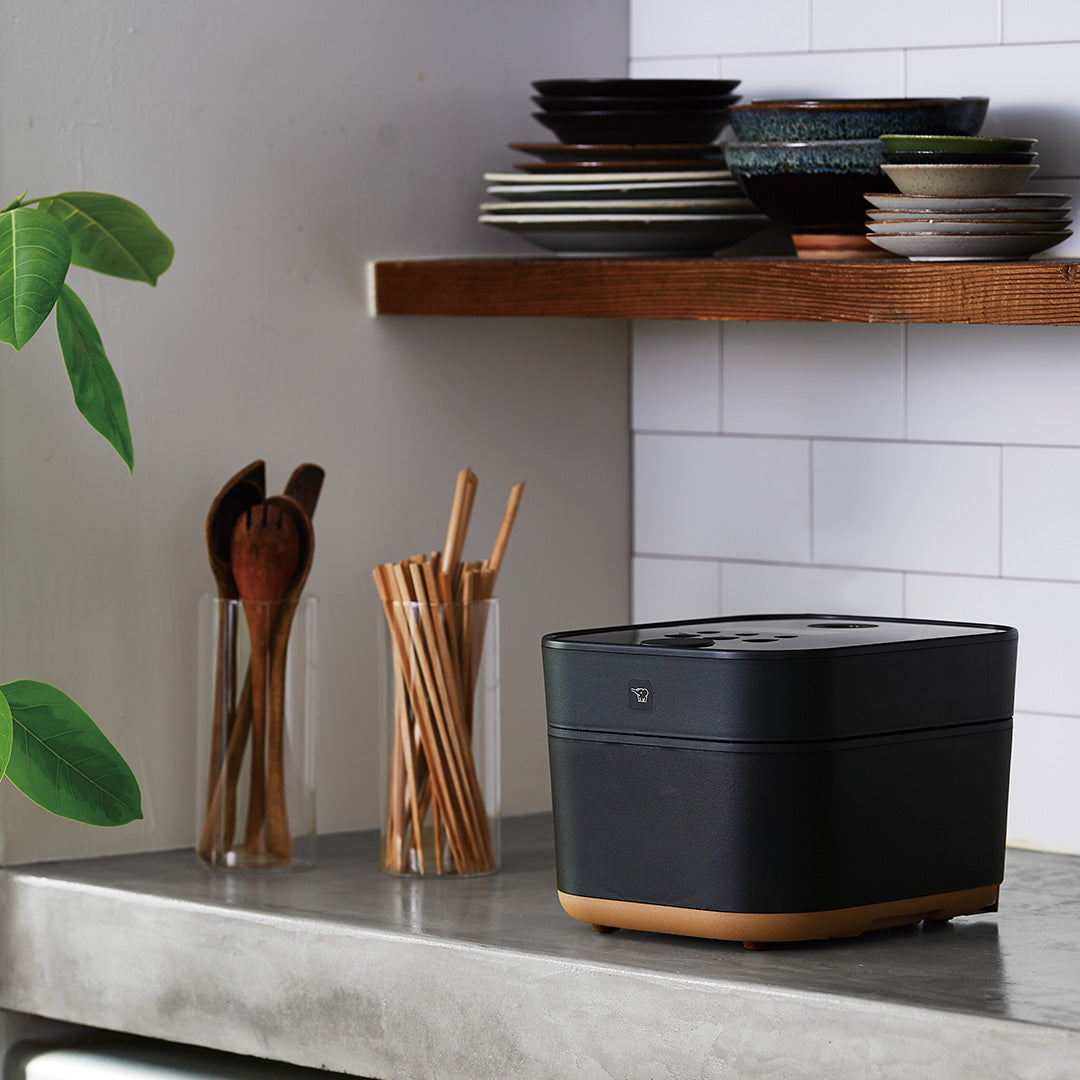 象印 STAN. IH炊飯ジャー 5.5合 NW-SA10