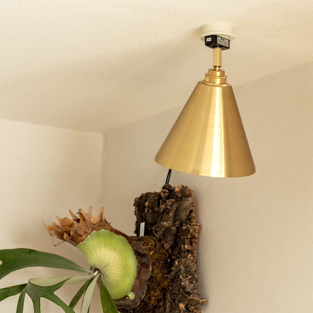 真鍮製 の おしゃれ な 1灯 スポットライト リアン