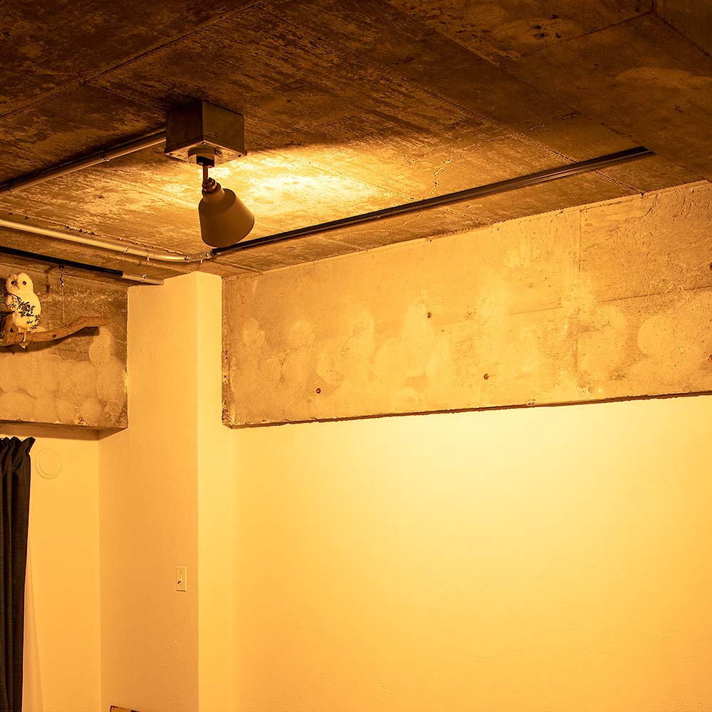 1灯スポットライト コラット