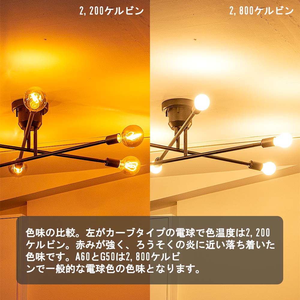 色温度の異なる電球の比較