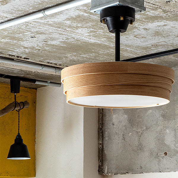 【4灯シーリングライト トイガー】