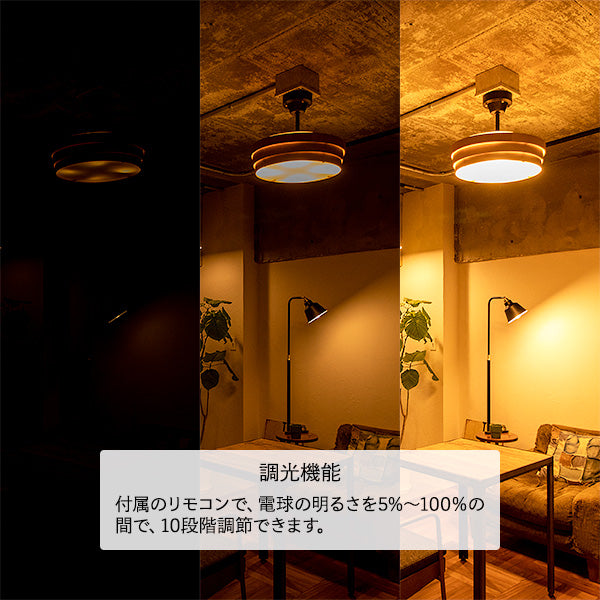 【4灯シーリングライト トイガー】