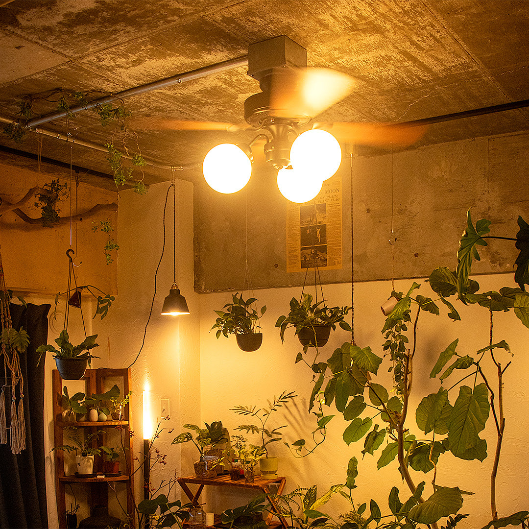 VANISE CEILING FAN LIGHT（ バニーズ シーリングファンライト）