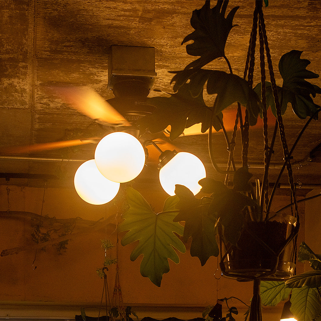 VANISE CEILING FAN LIGHT（ バニーズ シーリングファンライト）