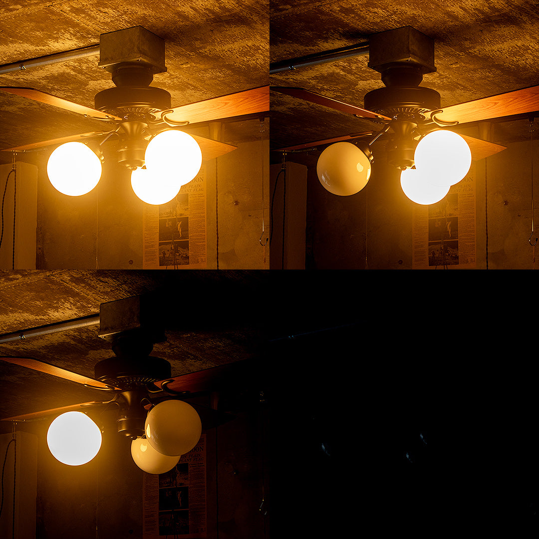 VANISE CEILING FAN LIGHT（ バニーズ シーリングファンライト）