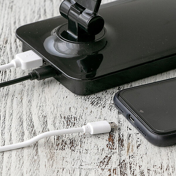 LEDデスクスタンド TDS-02